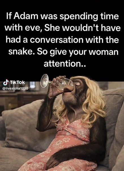 Laugh (@livealoha1230)’s videos with original sound - Music Lyrics🎶