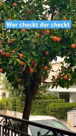 Auto PRANK #viral #subscribe #autos #prank