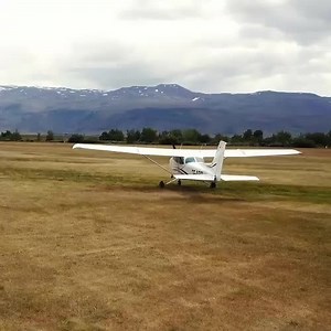 14K views · 559 reactions | Art can be used as an outlet to explore sustainability issues. | Bloomberg | Facebook