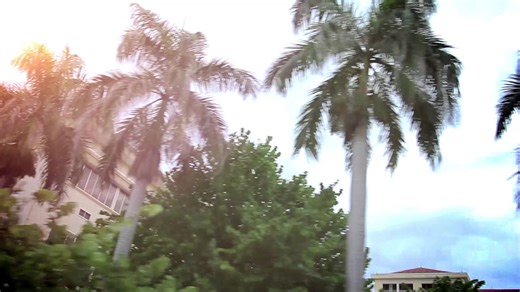 Home | B Window Cleaning