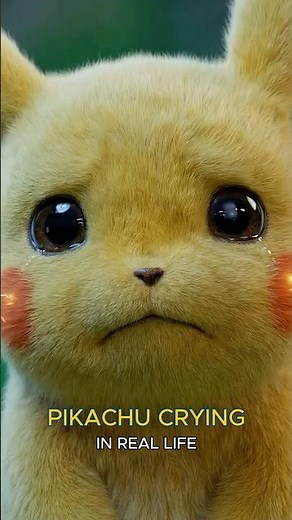 Pokemon In Real Life | NatGeo: Sad Farewell | Pikachu crying