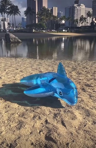 Así de rápido se prepara este inflable de orca para que puedas aprovechar los días de verano al máximo!! 🤩🔥🩵 📲 Entra a www.intex.com.ar para más info ℹ️ #orca #verano #intex #fyp #inflables