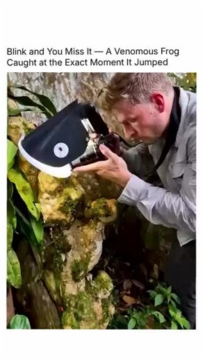 #WondersOfEarth #FunFacts #EarthFacts #NatureFacts #AmazingFacts #DidYouKnow #FactVideos #EducationalContent #LearnSomethingNew #MindBlowingFacts #NatureLovers #ScienceFacts #DailyFacts #InterestingFacts #FactOfTheDay #EarthWonders #ViralFacts #KnowledgeIsPower #FactReels #CuriosityBoost #trend2031 | Wonders of Earth