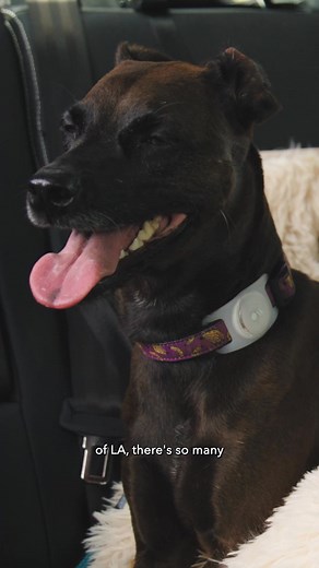 Share the adventure. Discovery is made for your family to enjoy every moment together. | Land Rover Discovery