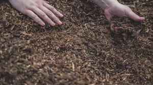 Composting of human remains a growing option, industry in Washington state