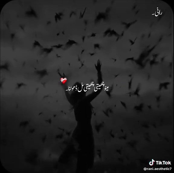 Cheti Cheti Mil Dholna: Celebrate the Festivity