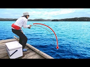 Catching a Big 60cm Fish During Sabiki Fishing and Panicking!