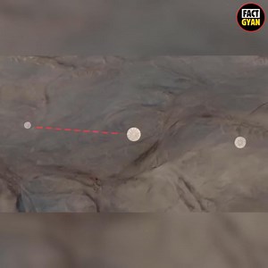 Amazing Facts #facts #fact #factsdaily | Facts Book