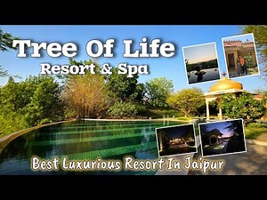 Tree of Life Resort & Spa Jaipur✨️|Best Luxury Resort in Jaipur for Peace & Nature Lovers🌳