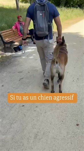 1K reactions · 17 shares | Ton chien est agressif ?  Ce n’est pas une fatalité ! L’agressivité est un trouble du comportement, pas un état permanent. Avec la bonne méthode, on peut la corriger !✅ Plus tu attends, plus la situation risque de s’aggraver... Envoie moi « GO » en DM pour que je t’aide à transformer ton chien et retrouver de la sérénité dans ton quotidien ! Abonne toi pour ne rien rater  | Unica Dog | Facebook
