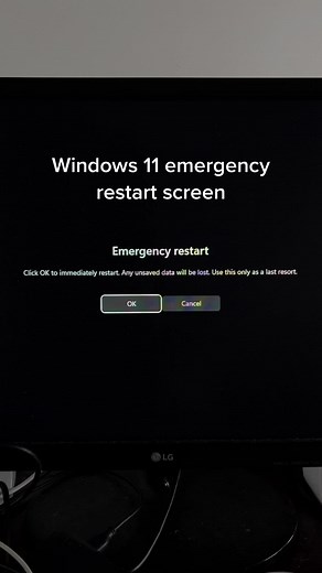 windows 11 emergency restart screen!