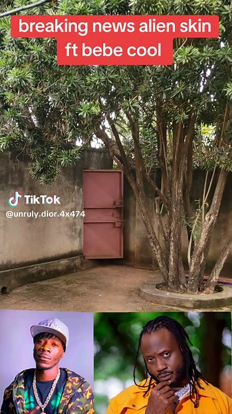 Breaking News: Alien Skin Featuring Bebe Cool