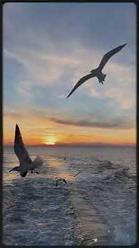 Top 10 Apex Predators on Earth (The Ultimate Hunters Revealed!)