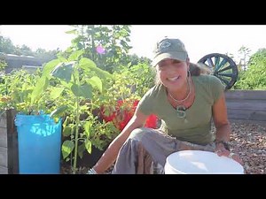 FREE Fertilizer and How to make it! Home solutions to rising prices