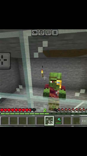 Zombie Villager Chasing Me Until Iron Golem Appeared 💀
