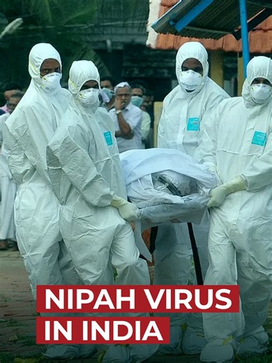 A scary virus may enter in Nepal. And this time, it is not coming from China but from India. In West Bengal, India, more than 100 people have been infected with the Nipah virus, and quarantine orders have been issued. According to reports, there is no cure for this virus. Its fatality rate is 40–75%. This means that out of every 100 infected people, 40 to 75 people have lost their lives due to this virus. The virus can spread through contaminated food or from person to person. Because of the ope