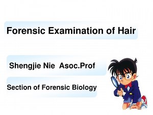 Forensic Examination of Hair: Biology Features and Criminal Investigation - SlideServe