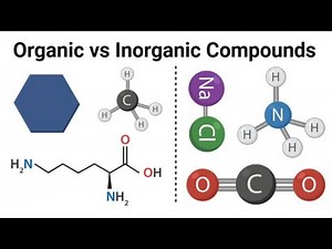Differences Between Organic and Inorganic Molecules