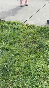 968K views · 361 reactions | A prom to remember, she also face planted earlier #prom #highschool | Jason the Great | Facebook