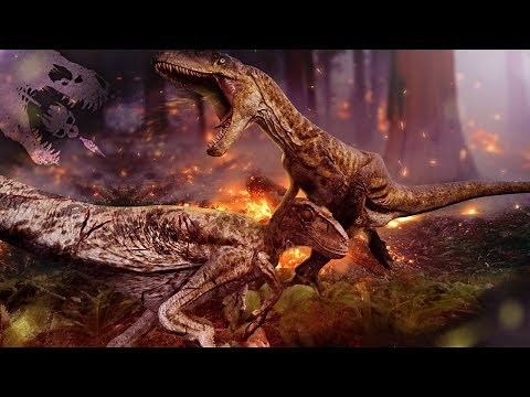 THE ANSWERS ARE HERE! - The Isle - Dinosaur Combat Update, Forest Fires, Future Updates - Gameplay