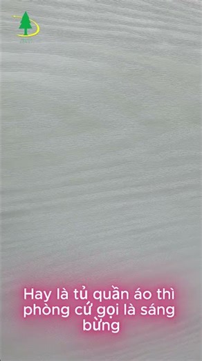 Cận Cảnh Màng PVC Vân Gỗ Sồi Trắng YD005