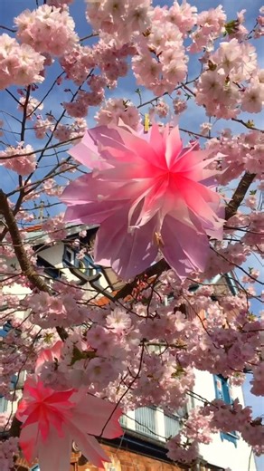 30K views · 514 reactions | Butterbrottütenblüten ganz einfach selbst basteln Die Anleitung und Schnittmuster bekommt ihr in meinem Shop - der Link ist in meinem Profil Leider sind mir ein paar Videoschnipsel zum Falten und Kleben abhanden gekommen藍 Ich wünsche euch dennoch ganz viel Spaß beim Nachbasteln und freue mich auf euere wundervollen Blüten殺 #binebrändle #vorlage #butterbrottütenblüten #basteln #download #bunt #frühling | Bine Brändle | Facebook