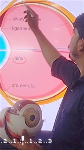 How Your Eye Tricks You Into Seeing More FPS