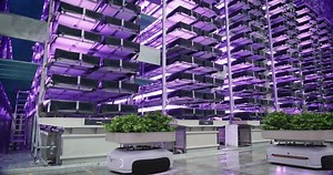 Autonomous Robots Vertical Farming Logistics Warehouse 库存影片视频（100% 免版税）3420198323 | Shutterstock