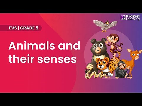Grade 5 | EVS | Animals and their senses | Super senses | Prozen learning