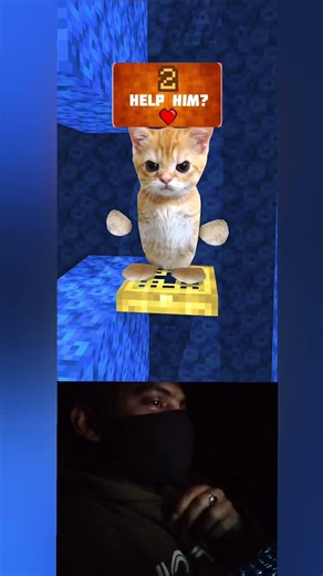 Minecraft how I react cat vs shark #minecraft #shorts #trending