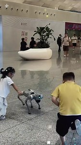 5.6K views · 81 reactions | Girl' Playing with #robotdog #robotics | Reviews | Facebook