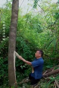 Making paper by hand according to the ancient method before the technology of the remote uncle | Huka