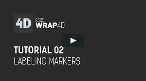 Tutorial 02. Labeling markers