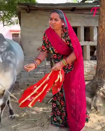 11M views · 123K reactions | Was it a coincidence or not, the cow saved the woman | Tips & Tricks | Facebook