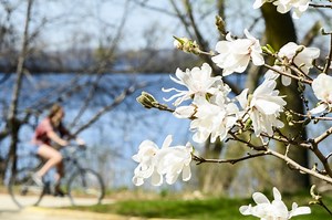 Refresh your route with Commuter Solutions resources and new Metro bus trip planning