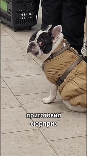 бро выдал | surprise