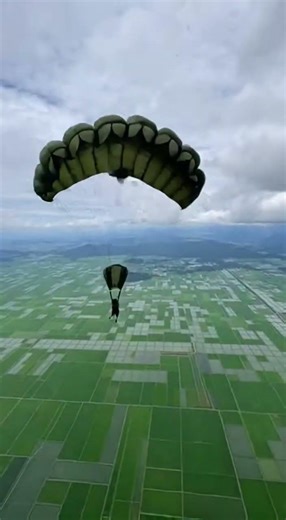 Incredible Solo K9 Parachute Jump! 🐕🪂 Brave Dog Soars Through the Air! #K9Hero #SoloJump #ArmyDog