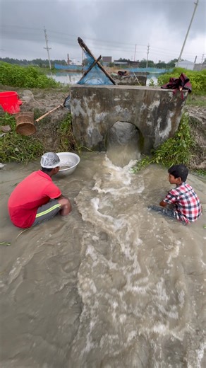 Rural Boys Fish Catching by Hand | Fishing & Village Tradition