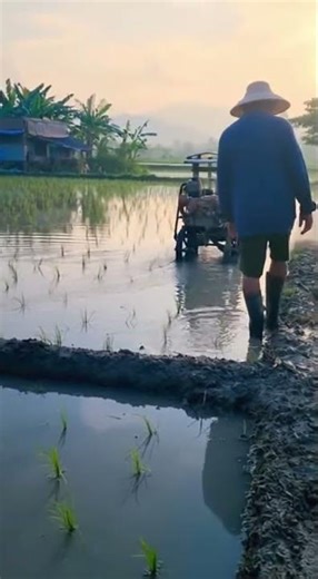 Paddy Field Irrigation Mech — #Sora2 #IrrigationMech #WaterManagement #FarmTechnology