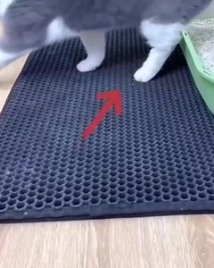 1K views | Areia de gato em todos os lugares?  Retém o lixo e evita a desarrumação  Impermeável e Não Tóxico Venda Limitada! Compre agora ➡️➡️ https://superzebra.pt/produto/sand-trapper-cat-litter-mat-catmat?psh=2i99&pco=2i99&sp=7719i997 | Superzebra | Facebook