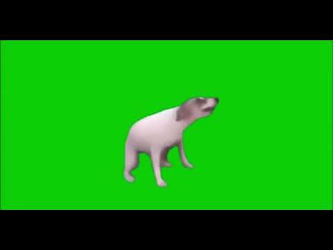 海外meme素材 (マエスケ素材)踊るイッヌ