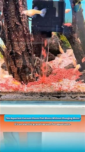 This Aquarium Vacuum Cleans Fish Waste Without Changing Water