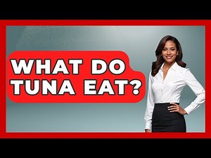 What Do Tuna Eat? - The Marine Life Explorer