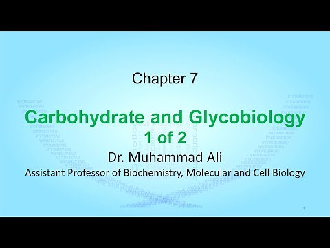 Carbohydrates and Glycobiology 1 of 2 (Biochemistry and other Life Sciences)