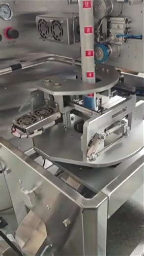 Triangle Inner Bag Packaging Machine + Outer Bag Feeding Packaging Machine