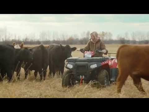 100% real beef: a company or a fact? McDonald’s Canada answers.