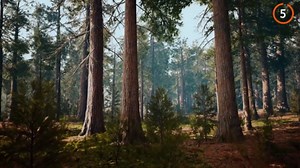 10 Affordable Travel Spots in the USA to Explore Stunning Natural Landscapes and Vibrant Cities