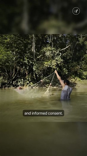 2.3K views · 93 reactions | My latest for MongaBay is out- featuring...