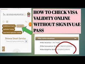 HOW TO CHECK VISA VALIDITY ONLINE,