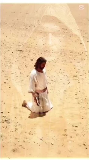 #starlight💫wolves #🎧crankitup🎧